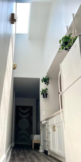 Geodis Park Apartment In Weho 纳什维尔 外观 照片