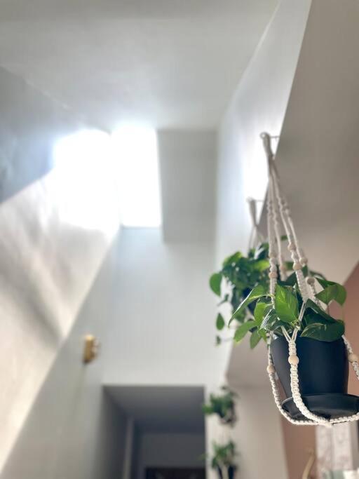 Geodis Park Apartment In Weho 纳什维尔 外观 照片